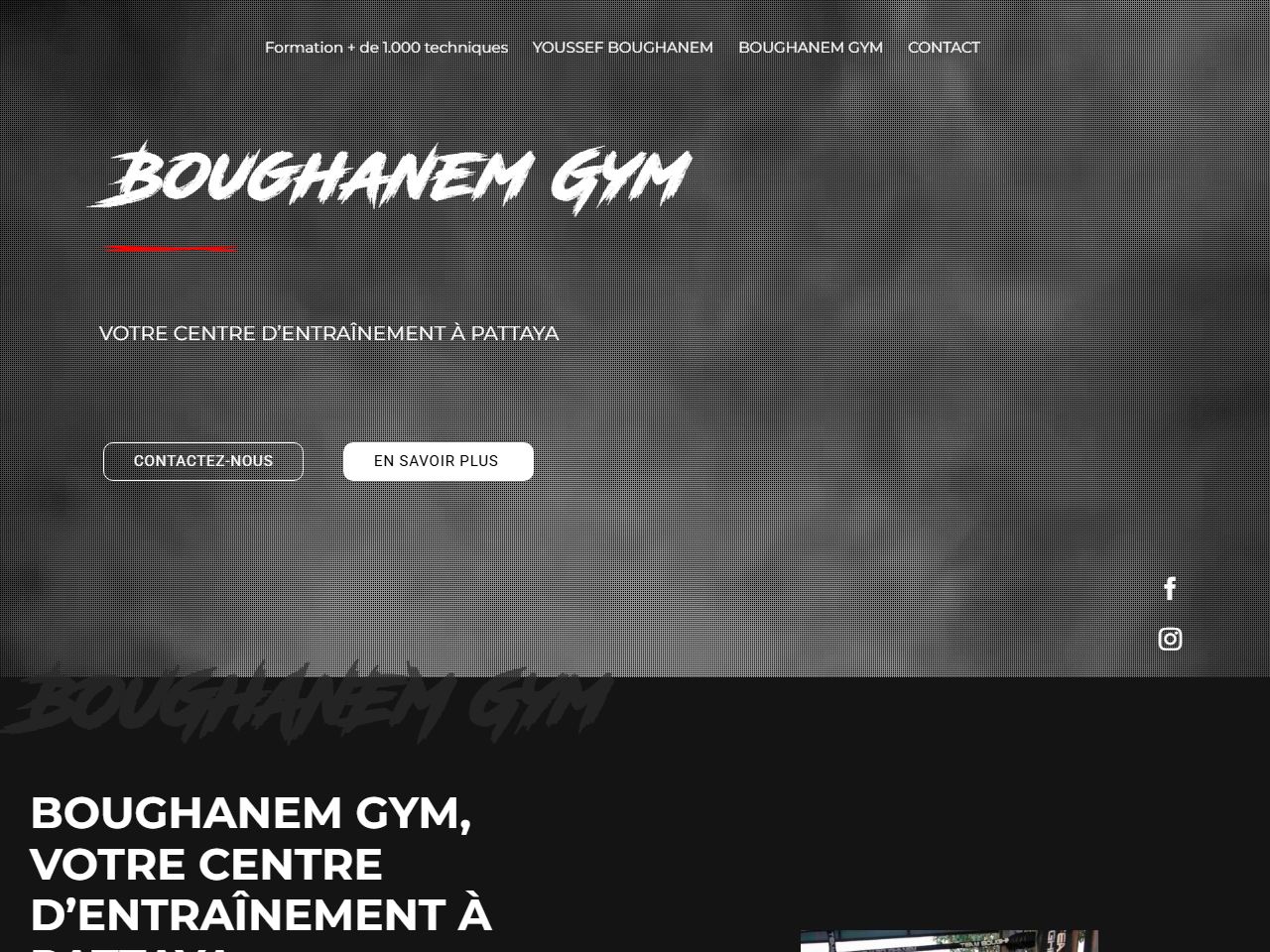 Team Boughanem website